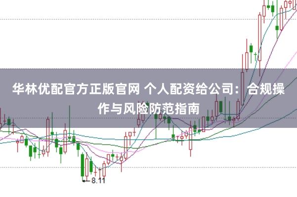 华林优配官方正版官网 个人配资给公司：合规操作与风险防范指南