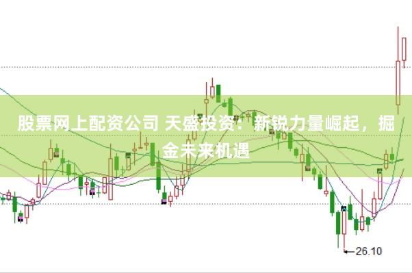 股票网上配资公司 天盛投资：新锐力量崛起，掘金未来机遇