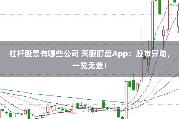杠杆股票有哪些公司 天眼盯盘App：股市异动，一览无遗！