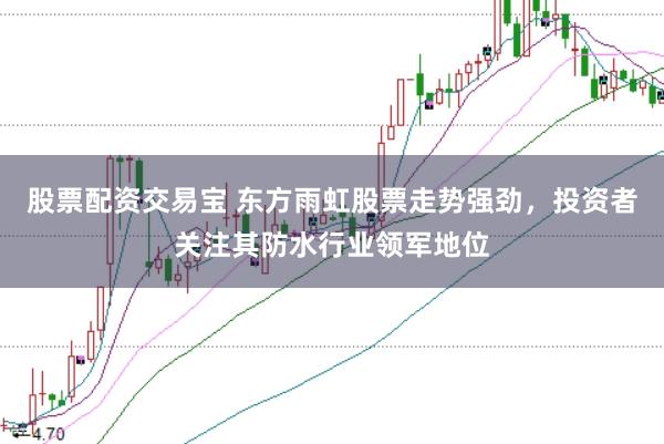 股票配资交易宝 东方雨虹股票走势强劲，投资者关注其防水行业领军地位
