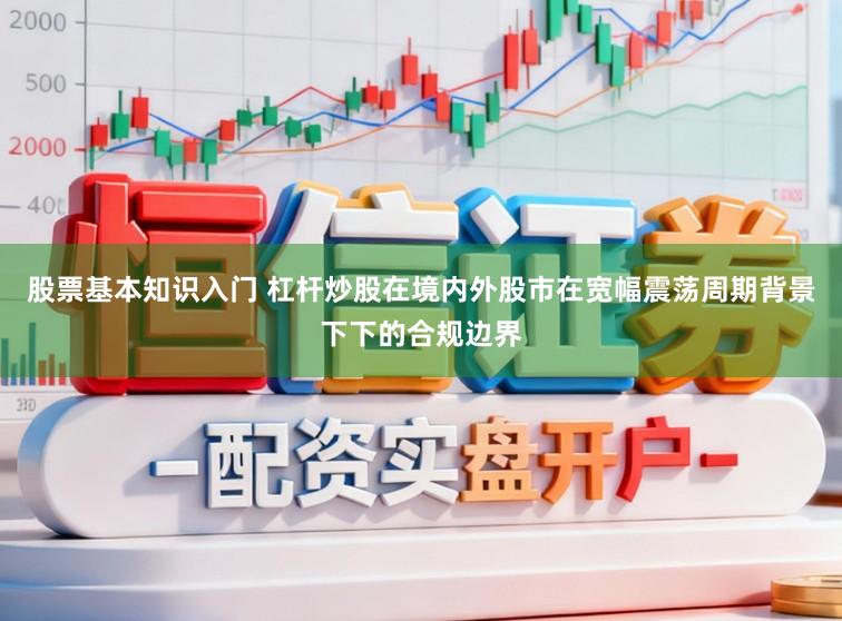 股票基本知识入门 杠杆炒股在境内外股市在宽幅震荡周期背景下下的合规边界