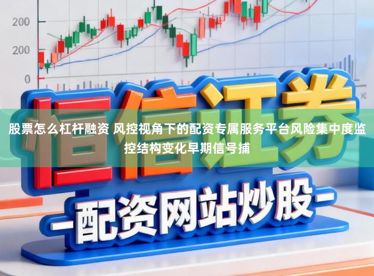 股票怎么杠杆融资 风控视角下的配资专属服务平台风险集中度监控结构变化早期信号捕