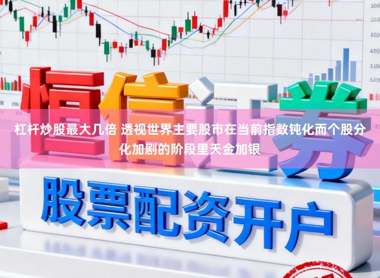 杠杆炒股最大几倍 透视世界主要股市在当前指数钝化而个股分化加剧的阶段里天金加银