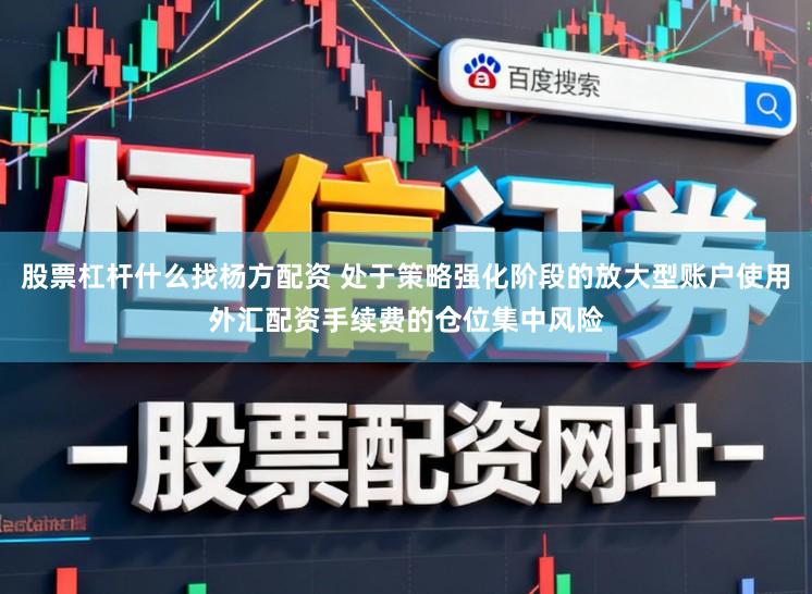股票杠杆什么找杨方配资 处于策略强化阶段的放大型账户使用外汇配资手续费的仓位集中风险