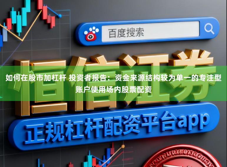 如何在股市加杠杆 投资者报告：资金来源结构较为单一的专注型账户使用场内股票配资